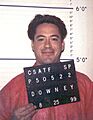 Actor Robert Downey Jr. photographed by the California Department of Corrections