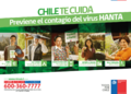 Afiche Hanta Camping 2015