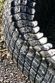 Alligator Tail