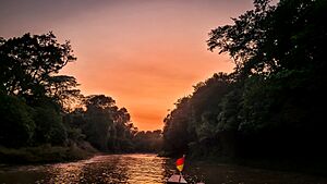 Archivo:Amanecer amazonia