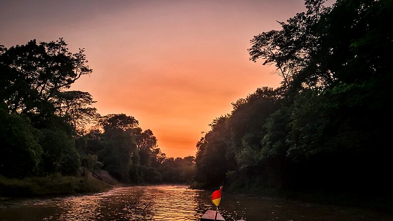 Amanecer amazonia