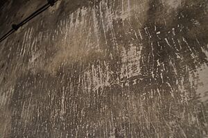 Archivo:Auschwitz I gas chamber - scratches on wall 2