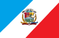 Bandera del municipio jose tadeo monagas