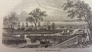 Archivo:Buffalo 1813