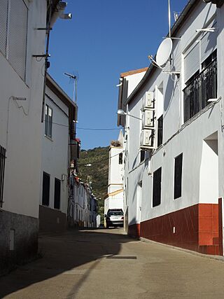 Carbajo CC 06.jpg