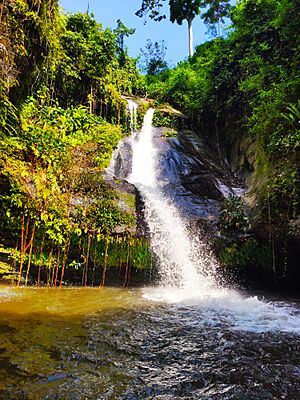 Archivo:Cascade de Womé