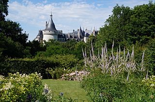 Chateau de Chaumont-sur-Loire (41).JPG