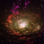 Archivo:Circinus.galaxy.750pix
