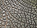Desiccation-cracks hg