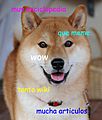 Doge homemade meme es