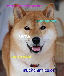 Archivo:Doge homemade meme es