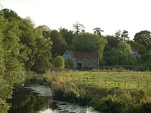 Archivo:Dorset stur mill from bridge