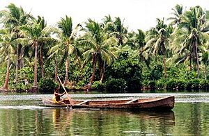 Archivo:Dugout canoe Rennell