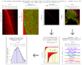 Eigengenes following Alter et al. PNAS 2000 and Alter and Golub PNAS 2006