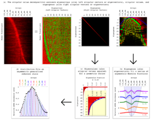 Archivo:Eigengenes following Alter et al. PNAS 2000 and Alter and Golub PNAS 2006