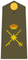 Ejerespadivi22