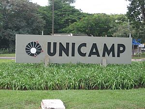Archivo:Entrada Unicamp 2