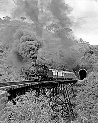 Archivo:Ferrocarril del norte2