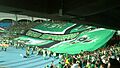 Glorioso Deportivo Cali vs millonarios cuadrangulares 2013 09