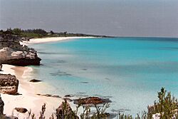 Great Harbor Cay horseshoe.jpg