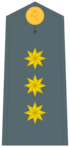 Divisa de coronel