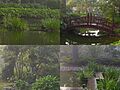 Jardin 4 2008 03