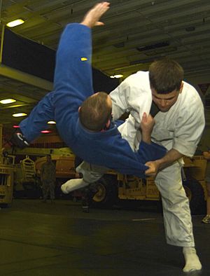 Archivo:Judo01cropped