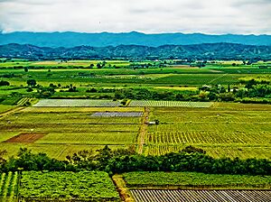 Archivo:La-unión-Valle