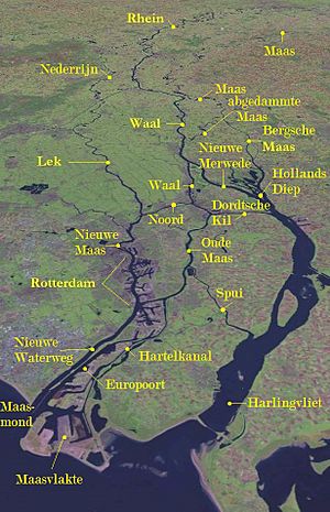 Archivo:Maas Delta1