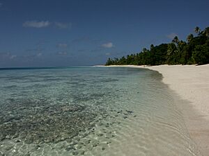 Archivo:Marshall Islands PICT0693 (4776528909)