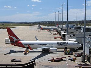 Archivo:Melbourne Airport T1 with Qantas and Jetstar jets