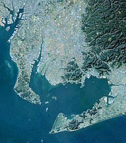 Mikawa Bay Aichi Japan SRTM.jpg