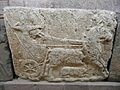 Museum of Anatolian Civilizations 1320169 nevit