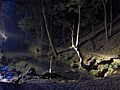 Nacimiento del Ebro de noche.