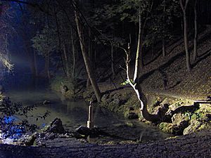 Archivo:Nacimiento del Ebro de noche.