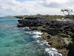 NorthShoreGreatInagua.jpg