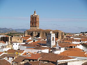 Archivo:P7010762 (716976056)