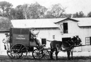 Archivo:PMPR 1909