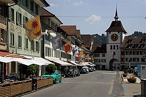 Archivo:Picswiss LU-25-15