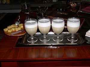 Archivo:PiscoSour