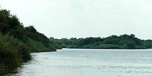 Archivo:Rio Grande SE of Falcon Reservoir, Municipality of Mier, Tamaulipas, Mexico (12 August 2007)
