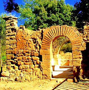 Archivo:Ruinas ermita de e San Pedro- Nueno
