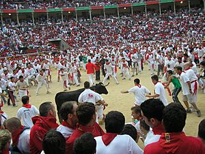 Archivo:Sanfermines-vaquillas