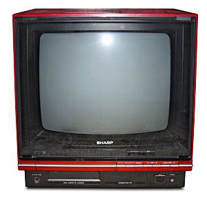 Sharp C1 NES TV 14C-C1F.jpg