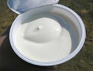 Archivo:Skyr.is með vanillu