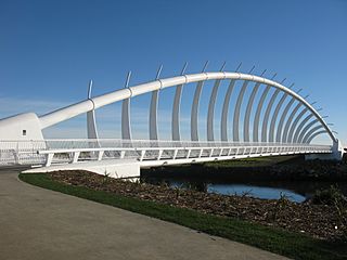 Te Rewa Rewa1.jpg