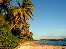The Point (Fiji).jpg