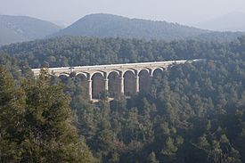 Viaducte lledoner 1.jpg