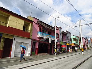Archivo:2018 Medellín, casas en la avenida Ayacucho