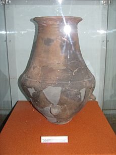 Archivo:Alba Iulia National Museum of the Union 2011 - Offering pot from a Scythian Grave